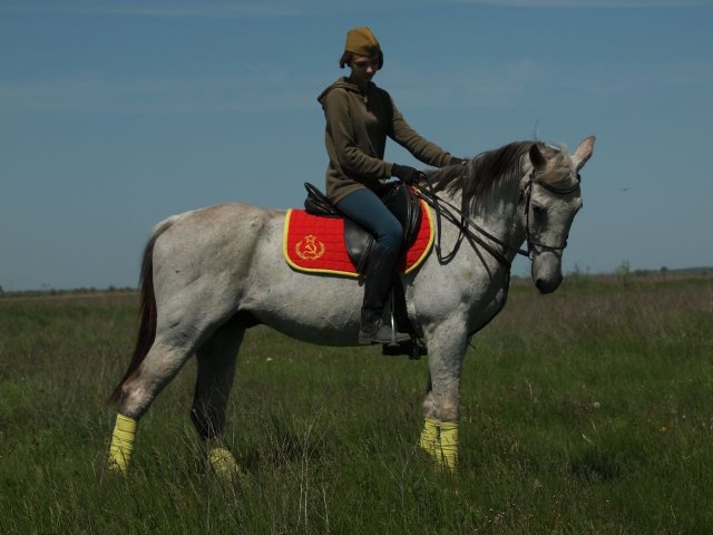 image 00-jpg