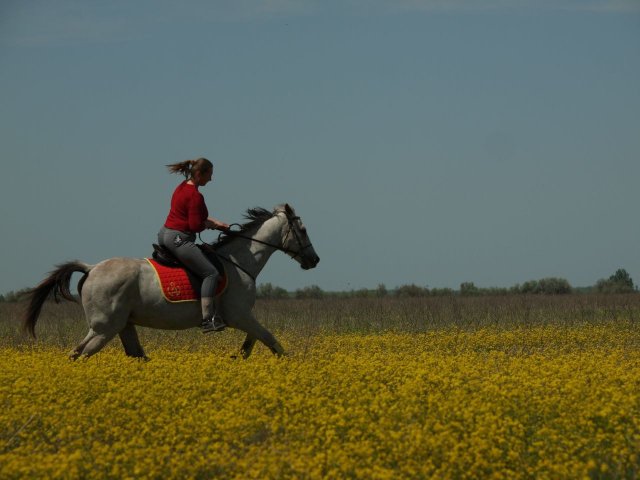 image 01-jpg