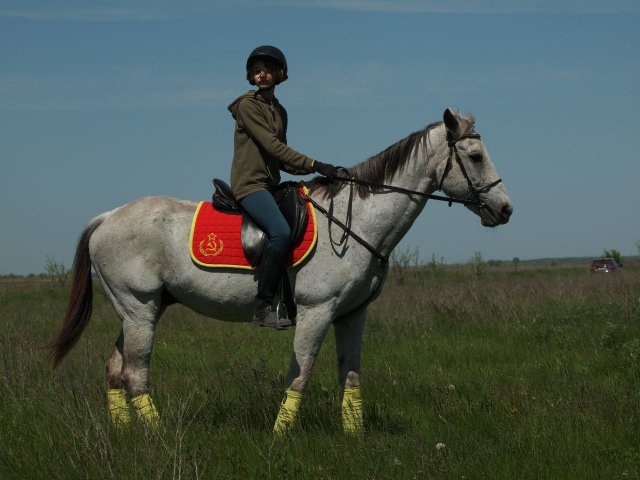 image 02-jpg