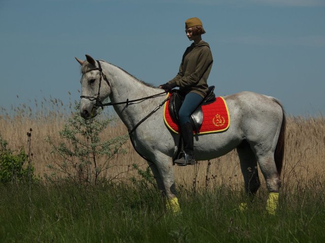 image 03-jpg