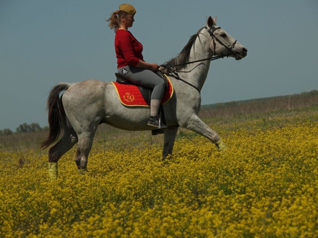 image 05-jpg
