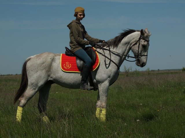image 09-jpg