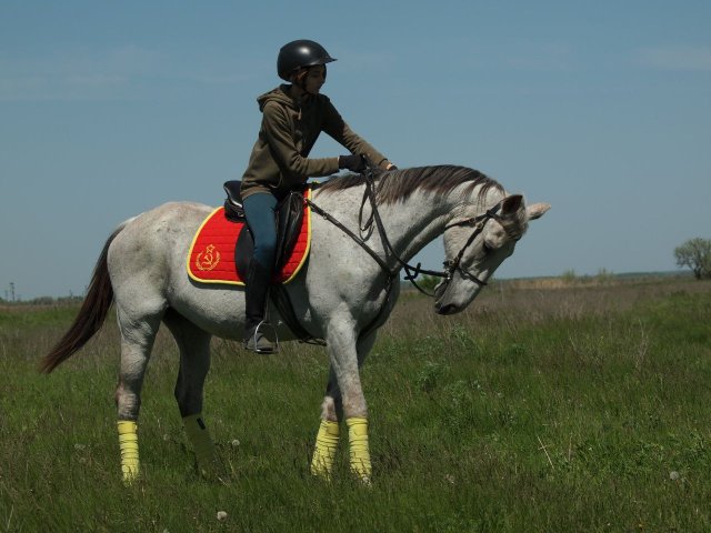image 10-jpg