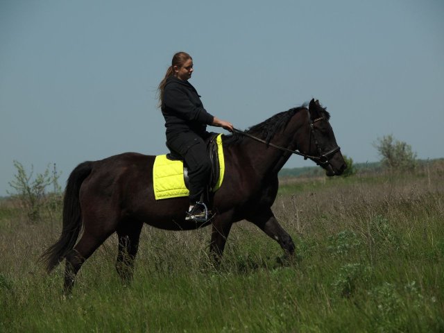 image 16-jpg