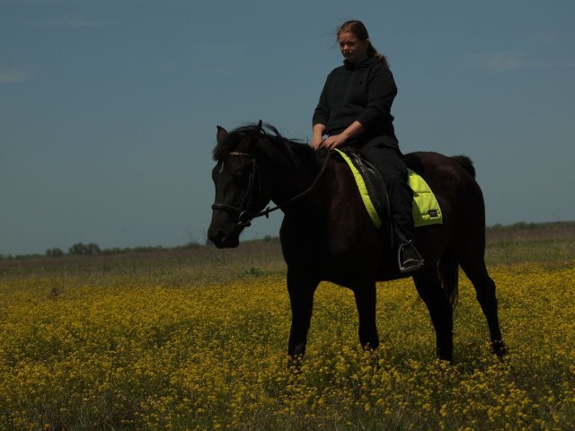 image 26-jpg