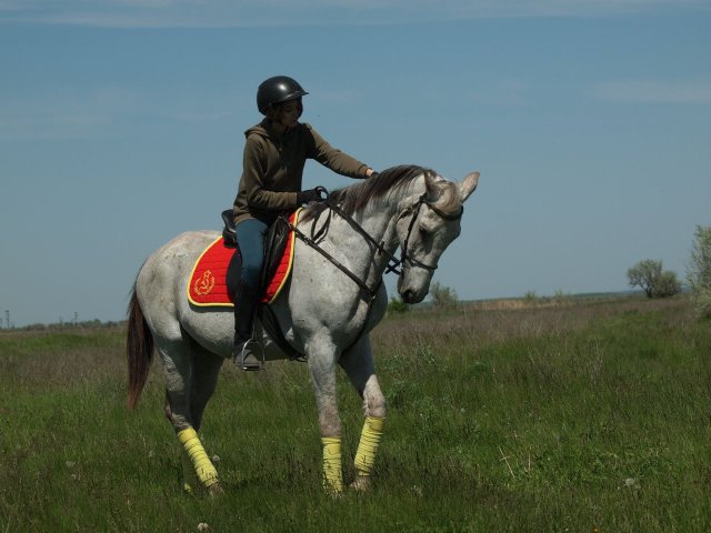 image 30-jpg