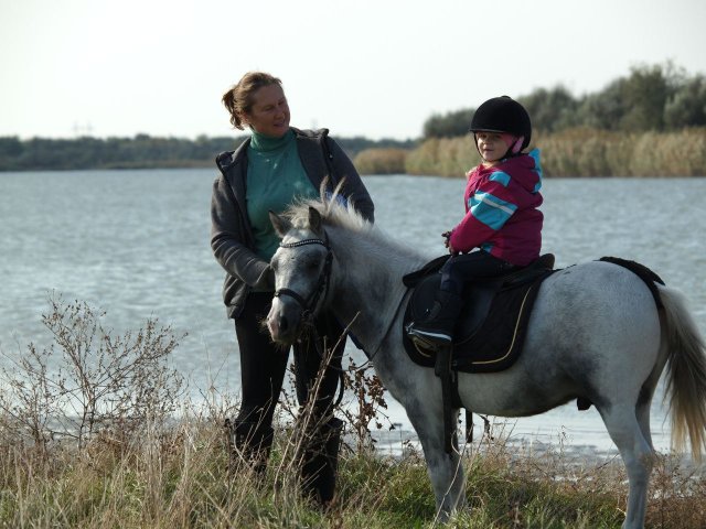 image 02-jpg