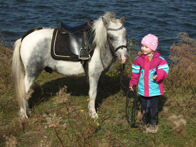 image 09-jpg
