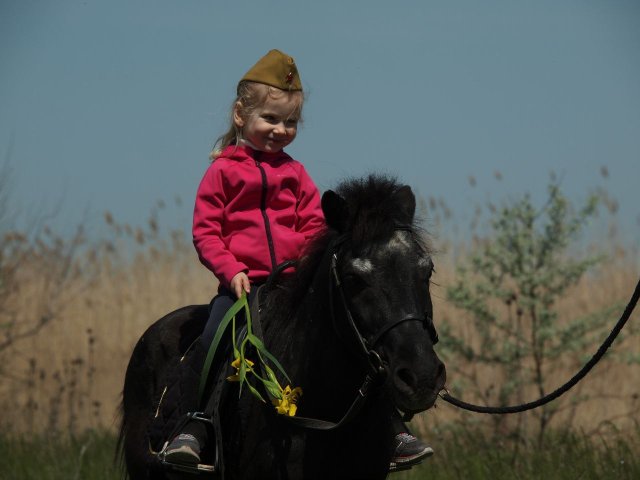 image 11-jpg