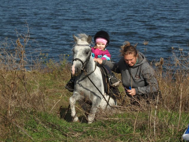 image 14-jpg