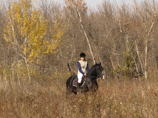 image 00000000-jpg