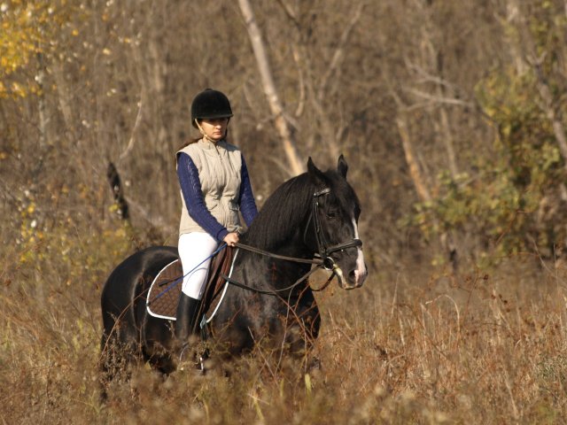 image 00000001-jpg
