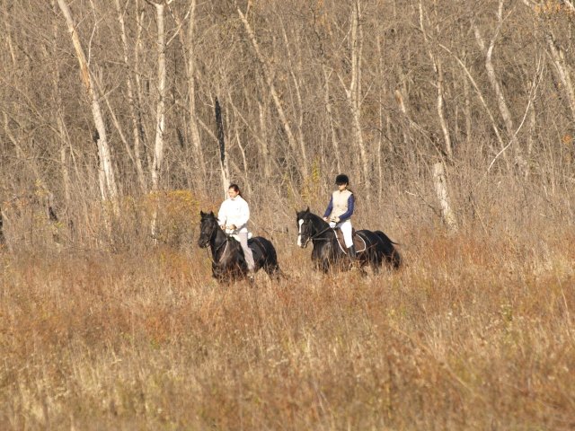 image 00000003-jpg
