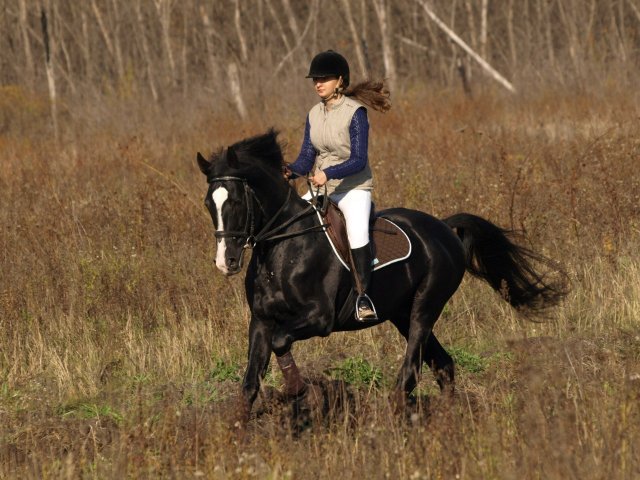 image 00000004-jpg