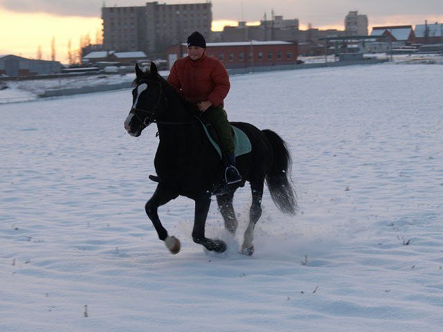 image 00000013-jpg