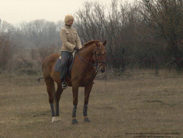 image 00000015-jpg