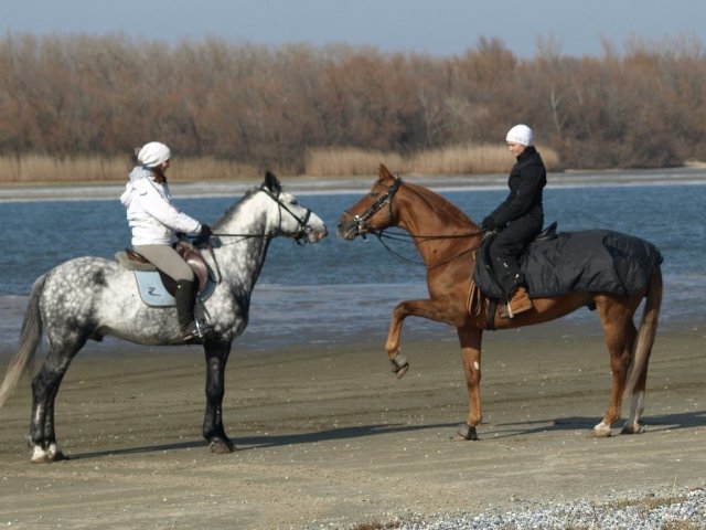 image 00000000-jpg