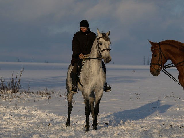 image 00000013-jpg