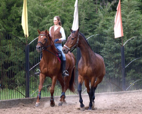 00000060 image 00000060-jpg