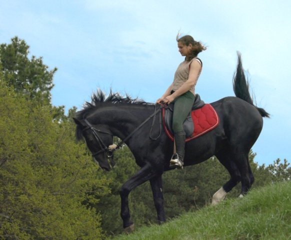 00000061 image 00000061-jpg