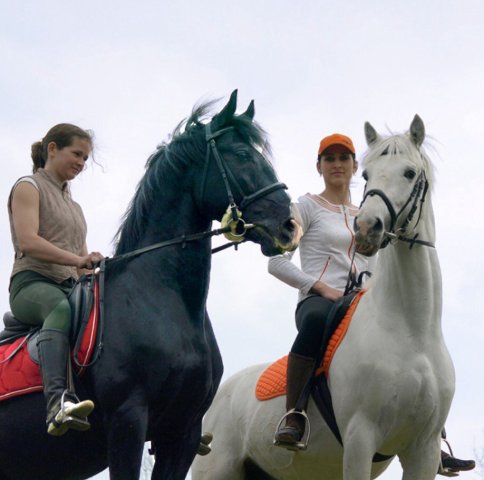00000062 image 00000062-jpg