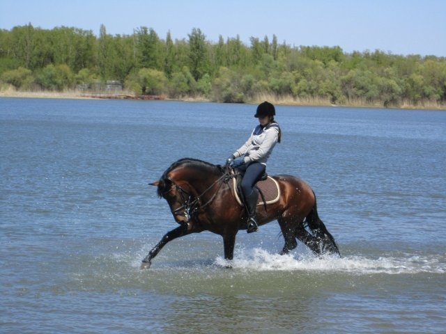 image 00000015-jpg