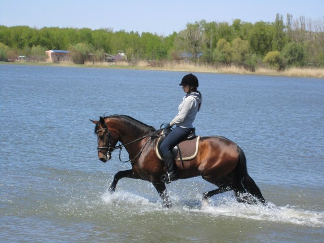 image 00000016-jpg