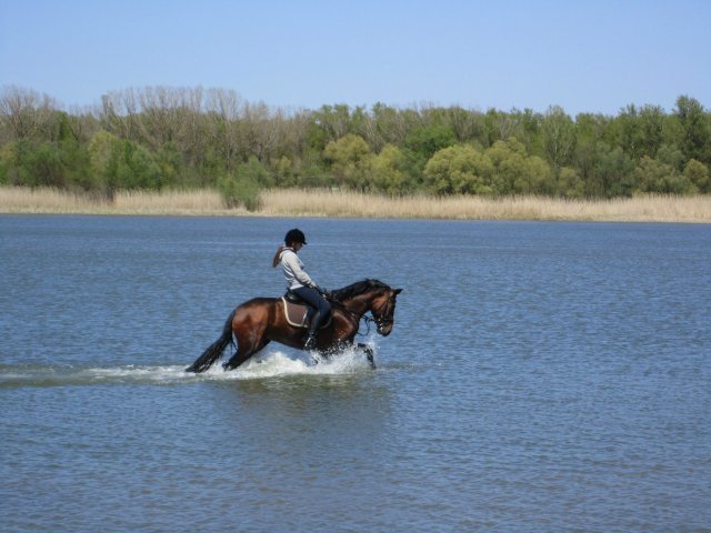 image 00000017-jpg
