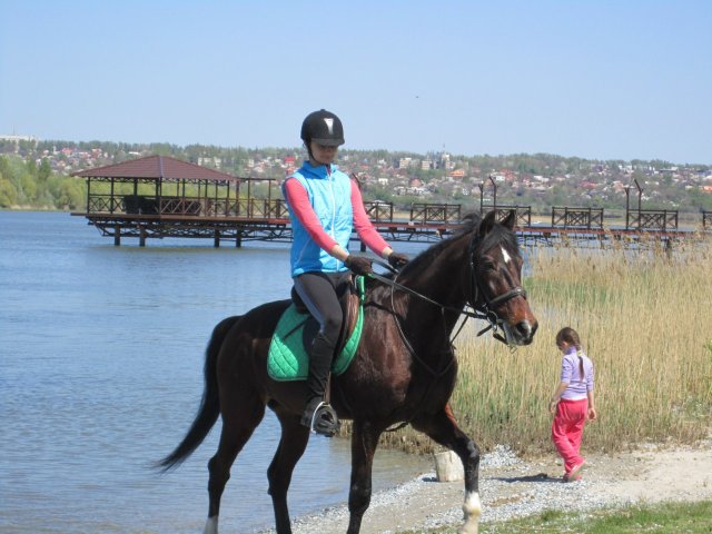 image 00000019-jpg