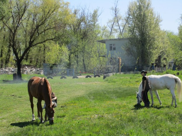 image 00000020-jpg