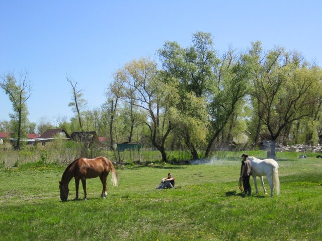 image 00000021-jpg