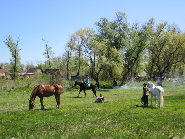 image 00000022-jpg