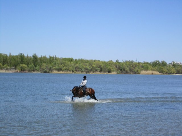 image 00000023-jpg
