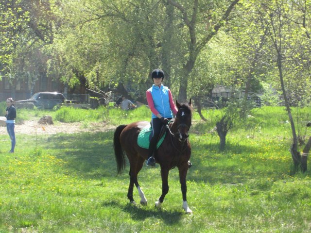 image 00000024-jpg