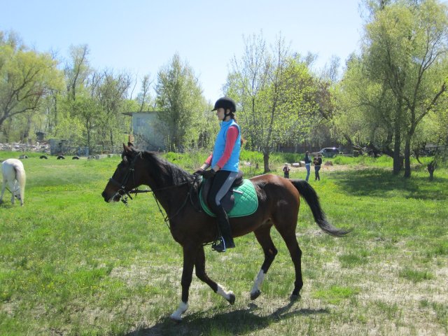 image 00000025-jpg