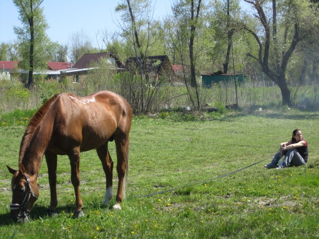 image 00000026-jpg