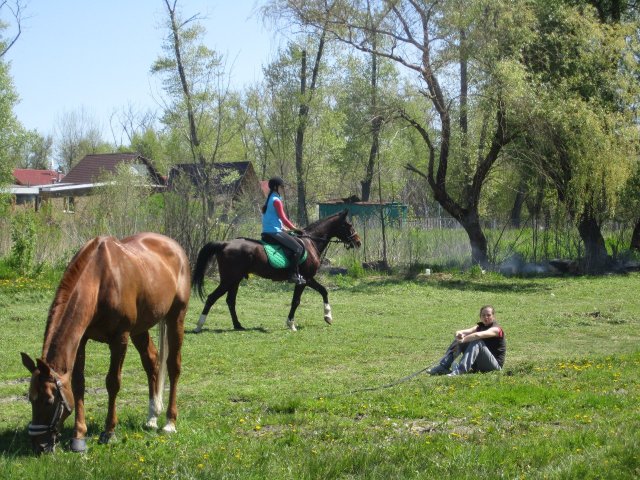 image 00000027-jpg