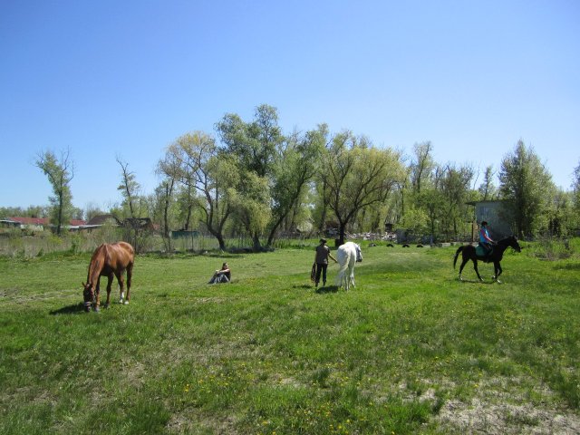 image 00000028-jpg