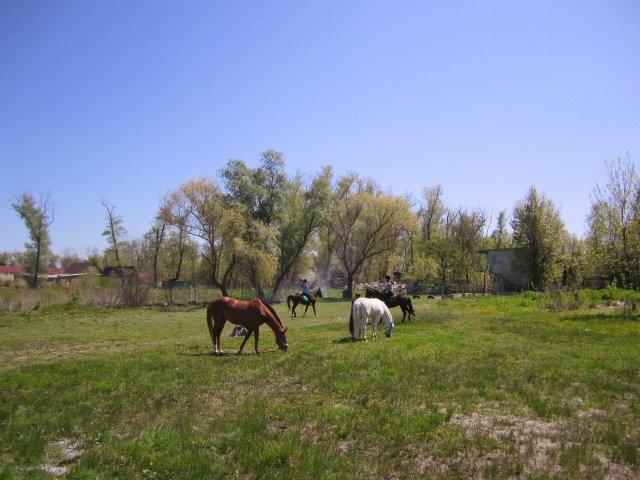 image 00000031-jpg
