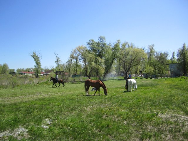 image 00000032-jpg