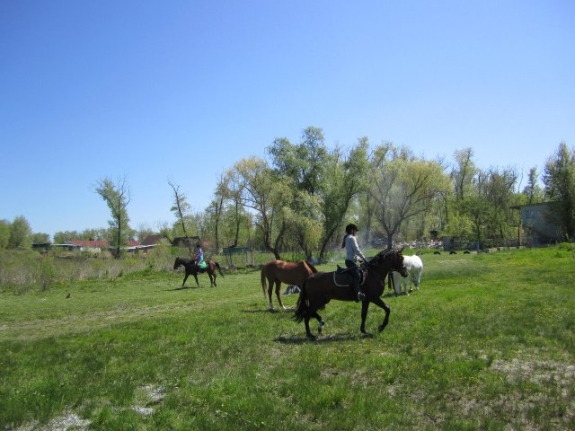 image 00000033-jpg