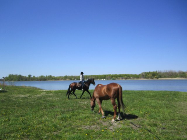 image 00000034-jpg
