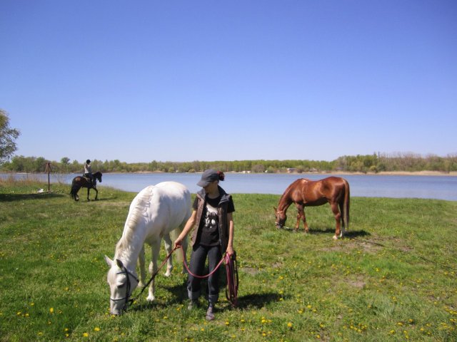 image 00000036-jpg