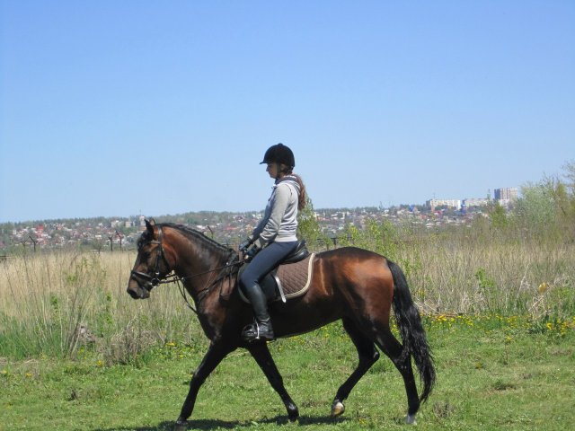 image 00000038-jpg