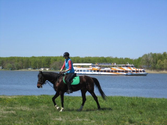 image 00000040-jpg