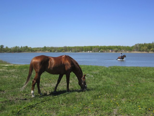 image 00000043-jpg