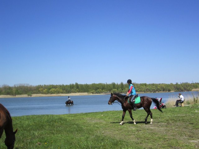 image 00000044-jpg