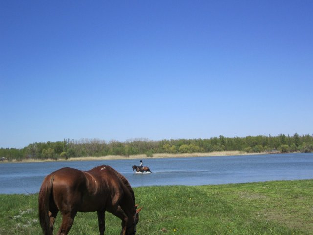 image 00000045-jpg