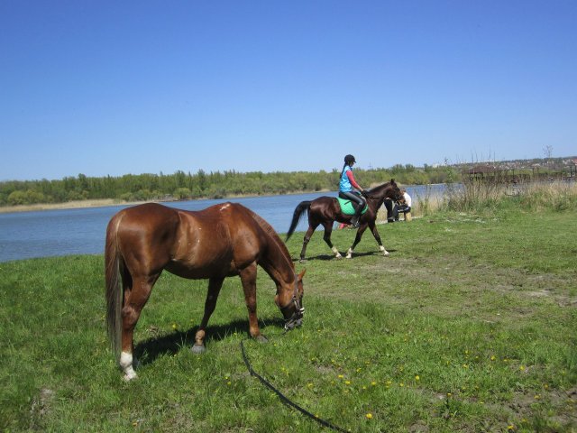 image 00000050-jpg