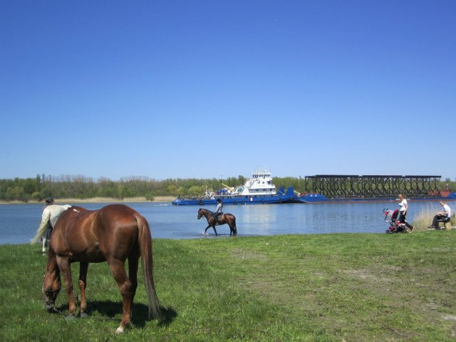 image 00000051-jpg